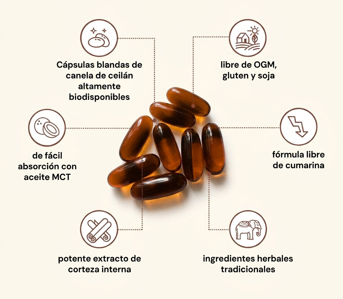 Primal Remedies Blood Sugar Complex