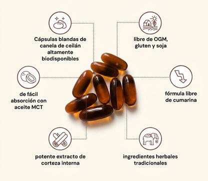 Primal Remedies Blood Sugar Complex
