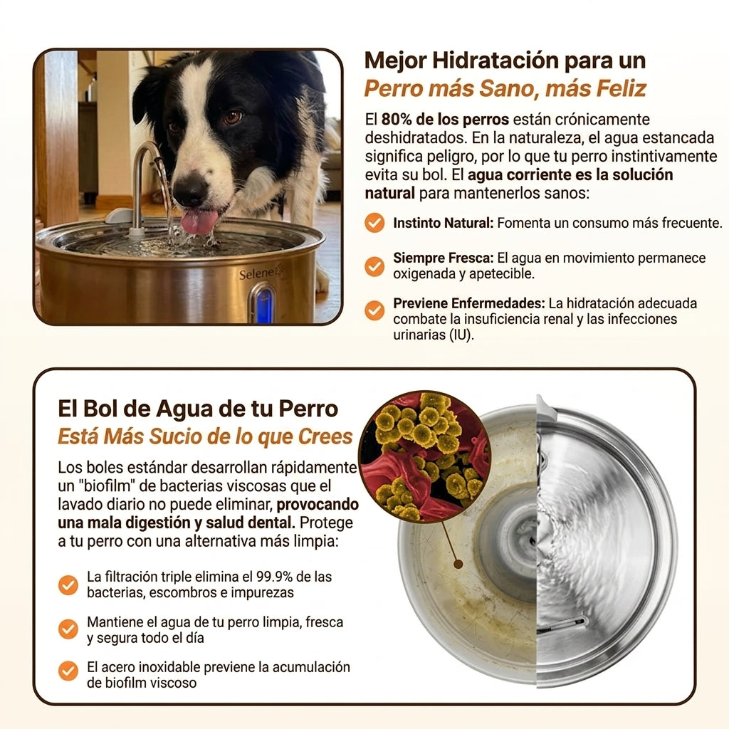 Selene™ Fuente de agua